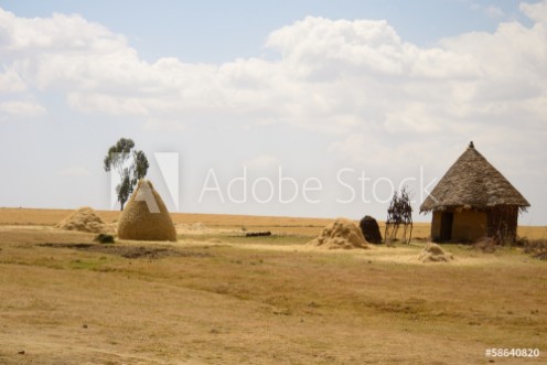 Picture of African rural life